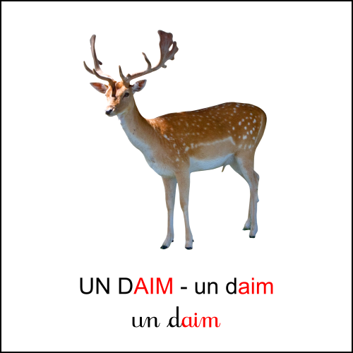 Graphie aim